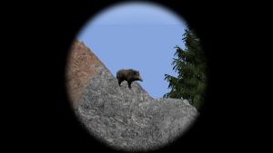 Boar with sights on head as viewed through a high power scope